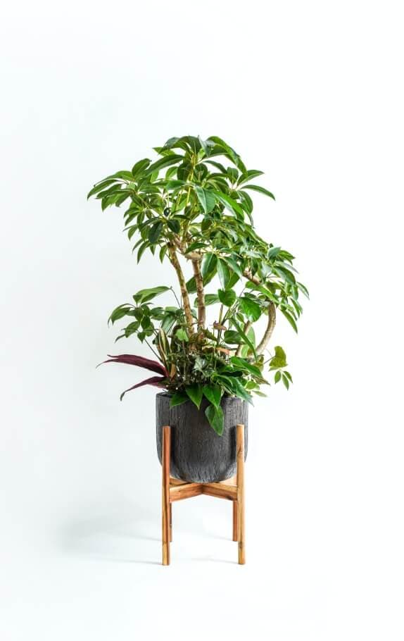 Green Gift 商品一覧